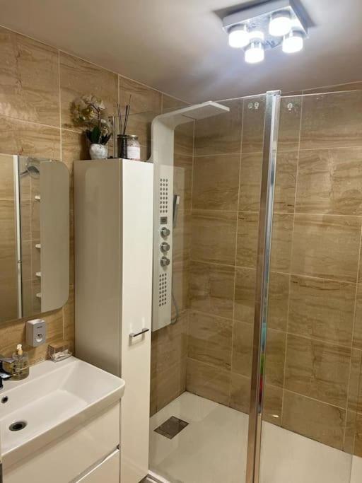 Appartement 110M2 Annemasse Εξωτερικό φωτογραφία